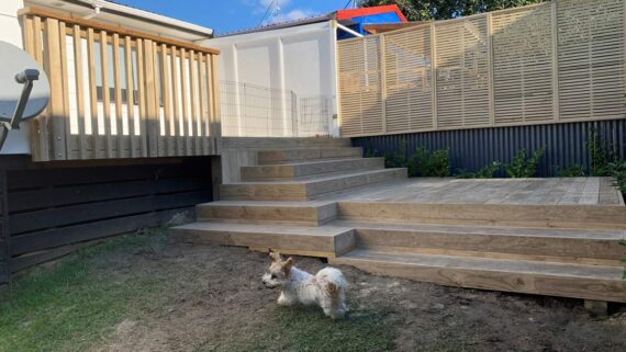Decking timber NZ – Our top 5 alternatives to Pine